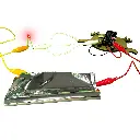 kit-didactico-conecta-tu-mundo-la-lora-carola_4.webp