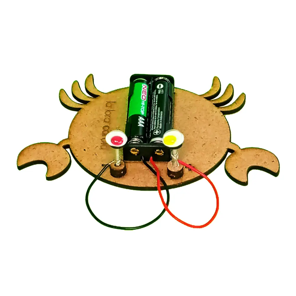 kit-didactico-conecta-tu-mundo-la-lora-carola_6.webp