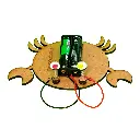 kit-didactico-conecta-tu-mundo-la-lora-carola_6.webp